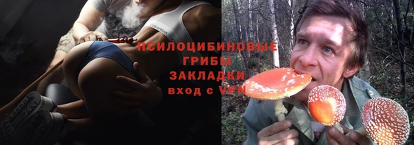хмурый Алексеевка