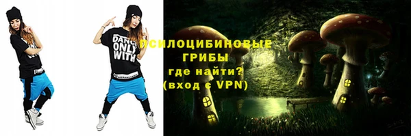 хмурый Алексеевка