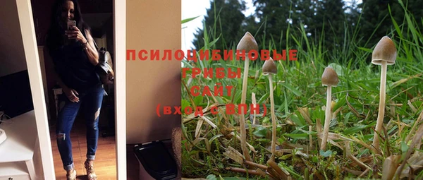 хмурый Алексеевка