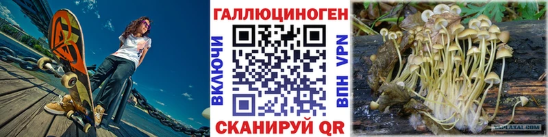 Галлюциногенные грибы Psilocybine cubensis  ОМГ ОМГ сайт  Сунжа 