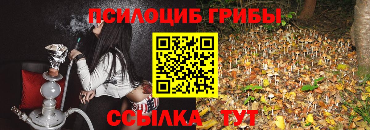 Псилоцибиновые грибы ЛСД  Вход с VPN  Сунжа 